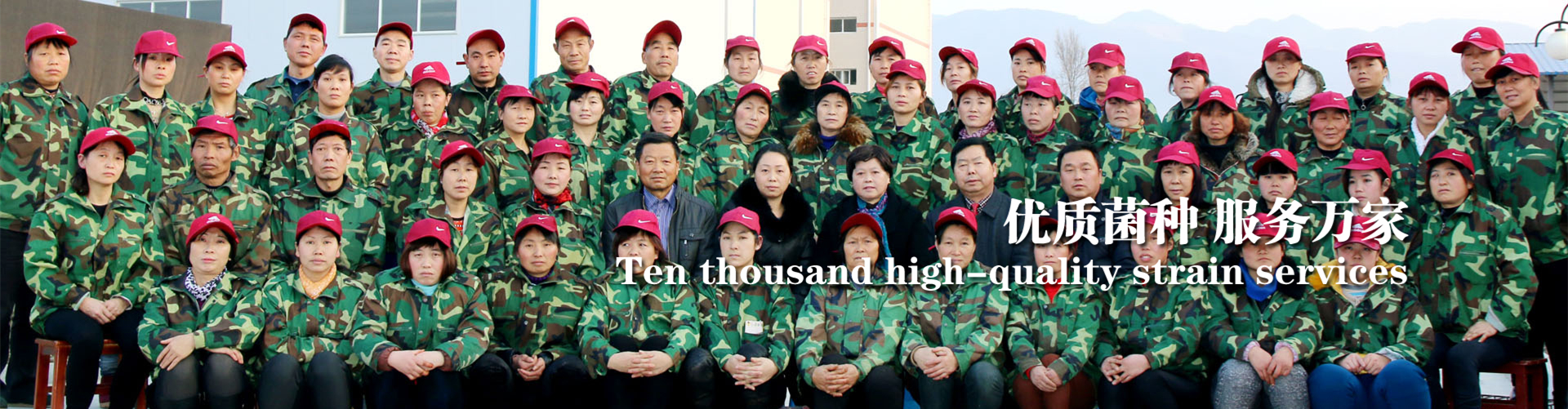 <strong>穩(wěn)定、放心，就選春森</strong>