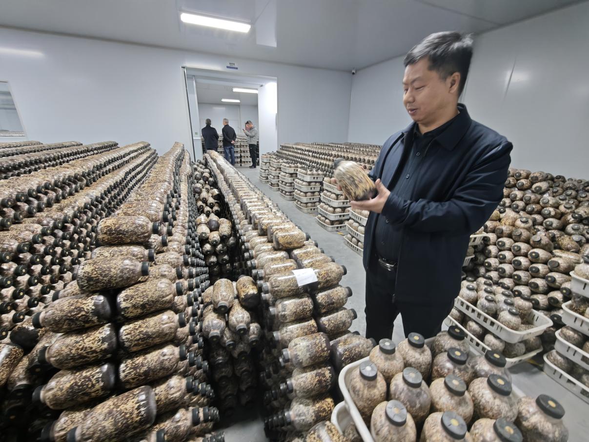 圖片關(guān)鍵詞