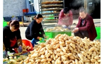 西安新聞網(wǎng)：漢中迎來(lái)天麻“豐收季”