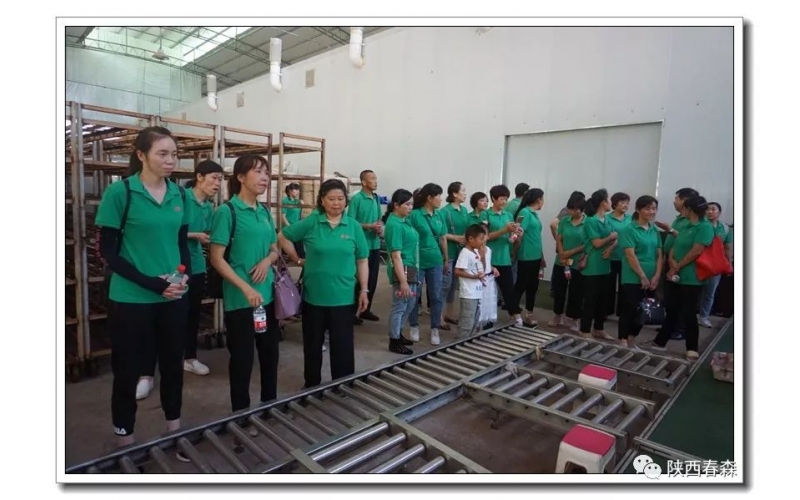 凝心聚力 春森菌業(yè)舉行考察及觀光活動